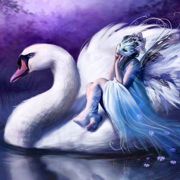 Meet your Posher, Juin - Picture 1 of 1